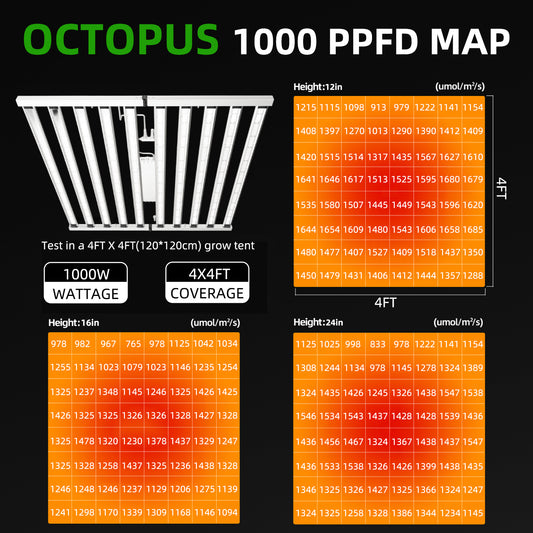 grow light, PPFD map, 1000W, 4x4