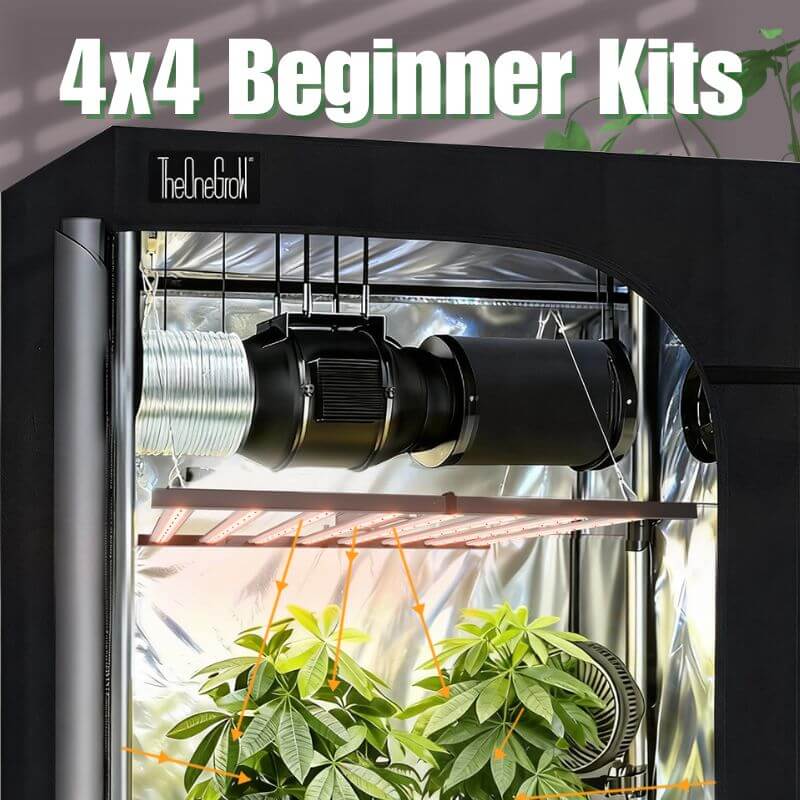 4x4 Grow Tent Kit