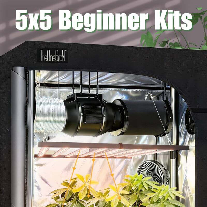 grow tent kit complete 5x5 Grow Tent Kit