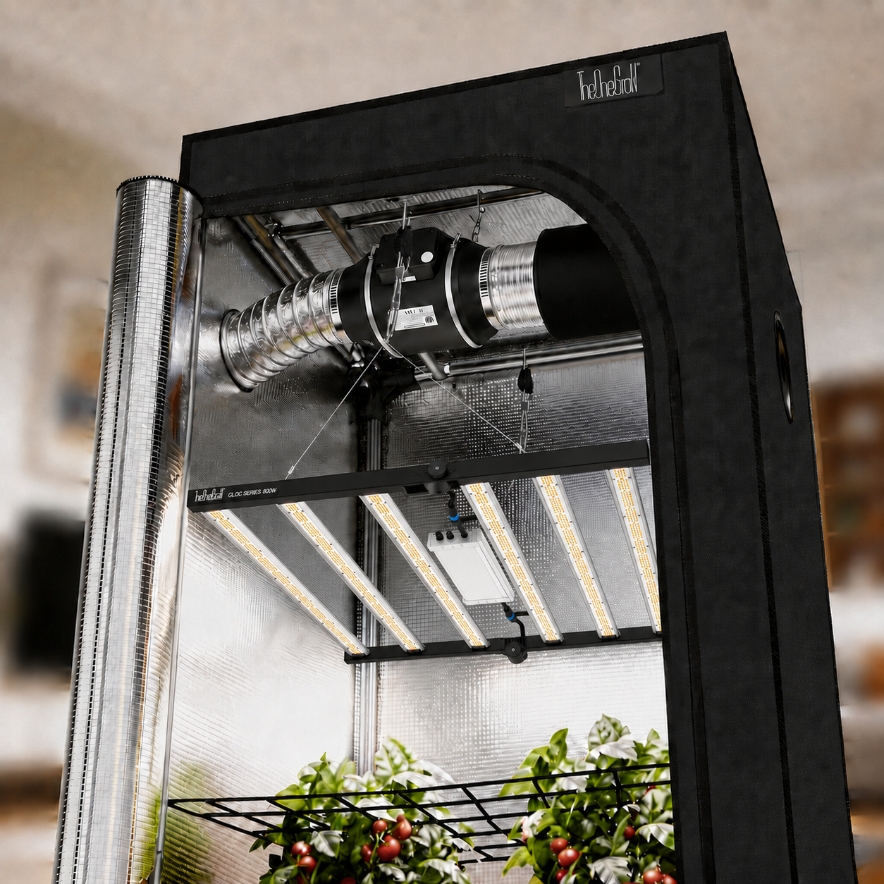 5x5 Complete Grow Tent Kit