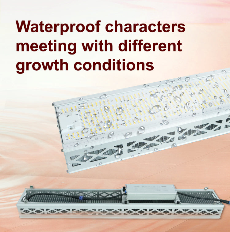 TheOneGrow 600W Supplemental Grow Light – Ultra-Wide 120° Coverage – Ideal for Greenhouse, Tent & Commercial Cultivation