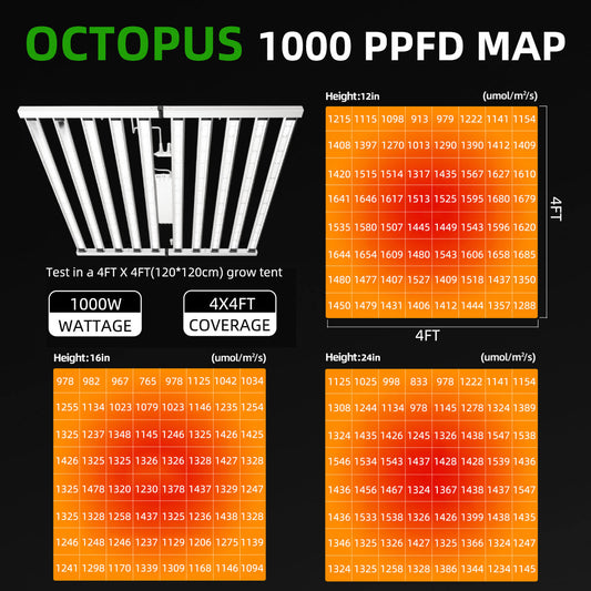 grow light, PPFD map, 1000W, 4x4