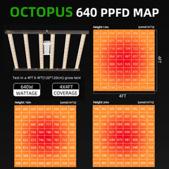 Current PPFD map for placement reference