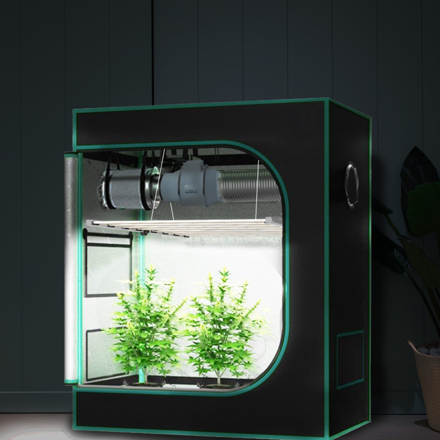 10% OFF! OC 800 Foldable Full Spectrum LED Grow Light for 4x4 & 5x5 Tent, High PPFD