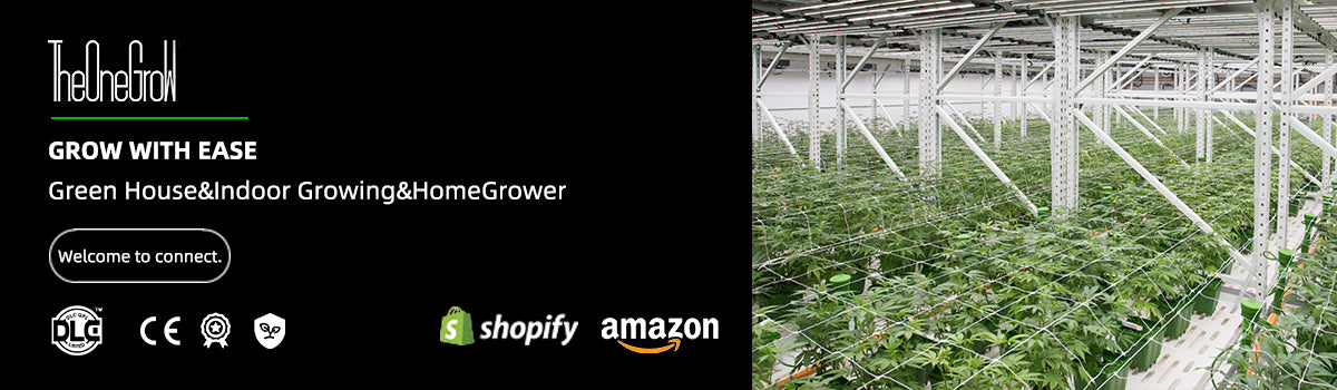 TheOneGrow US | LED Grow Lights & Grow Tent Kits for Indoor Plants