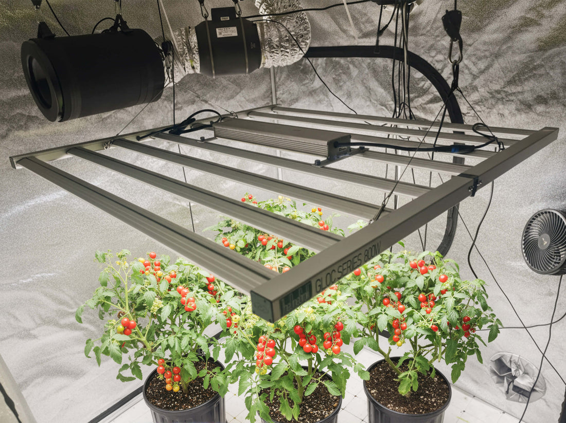 complete grow tent kit cheap
