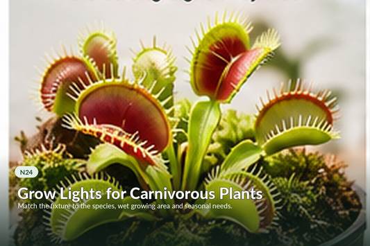 Healthy carnivorous plants displayed under bright supplemental grow lighting.