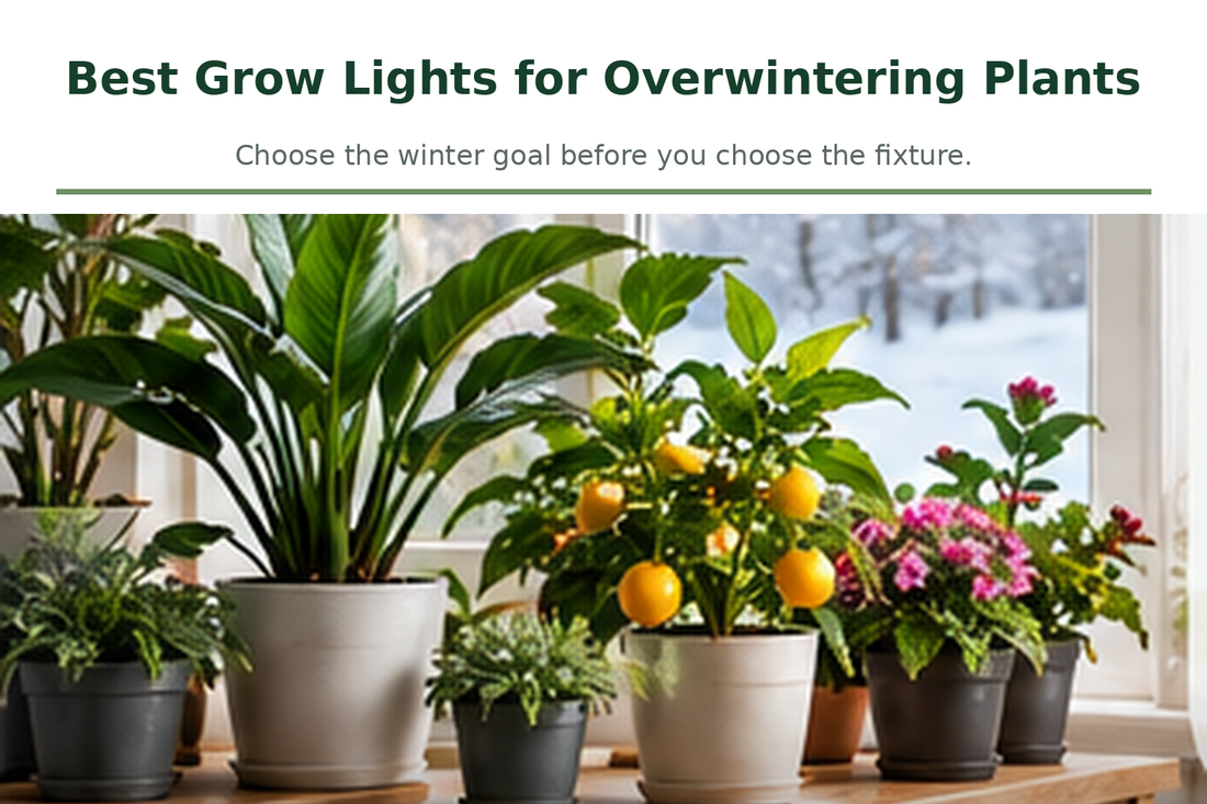 Overwintering tropical and flowering plants grouped by a winter window under supplemental LED lighting.