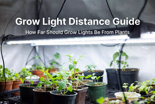 How Far Should Grow Lights Be From Plants? (Complete Grow Light Distance Guide)