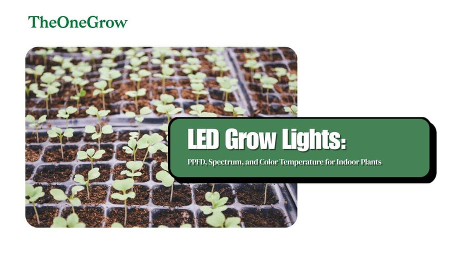 Full-spectrum LED grow light illuminating an even indoor plant canopy