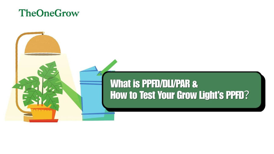 PPFD meter measuring LED grow light at plant canopy height