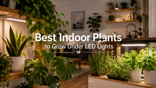 Best Indoor Plants to Grow Under LED Lights: Top Choices for Modern Indoor Gardening Success