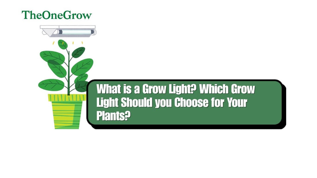 LED grow light positioned over a mixed indoor plant canopy