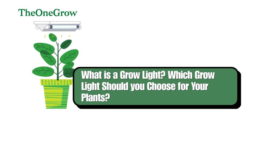 LED grow light positioned over a mixed indoor plant canopy