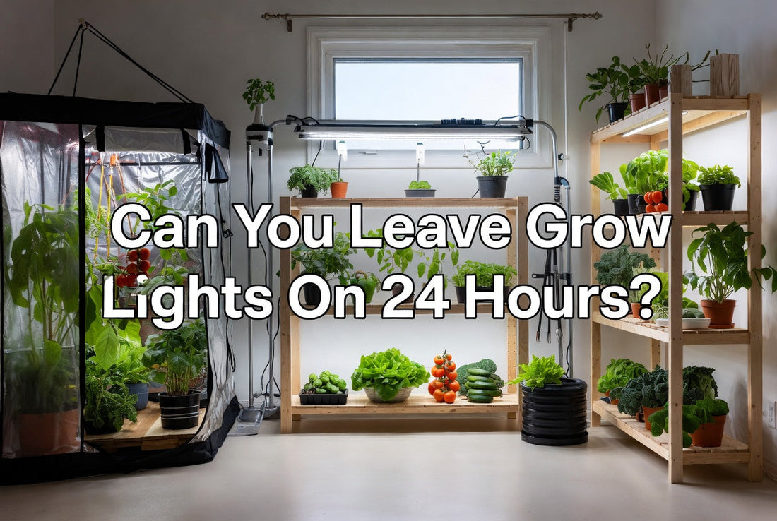 Indoor herb and vegetable garden under grow lights with a 24 hour lighting question