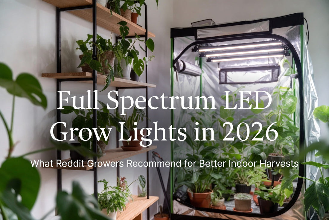 Full-spectrum LED grow light being evaluated with measurements and a product checklist