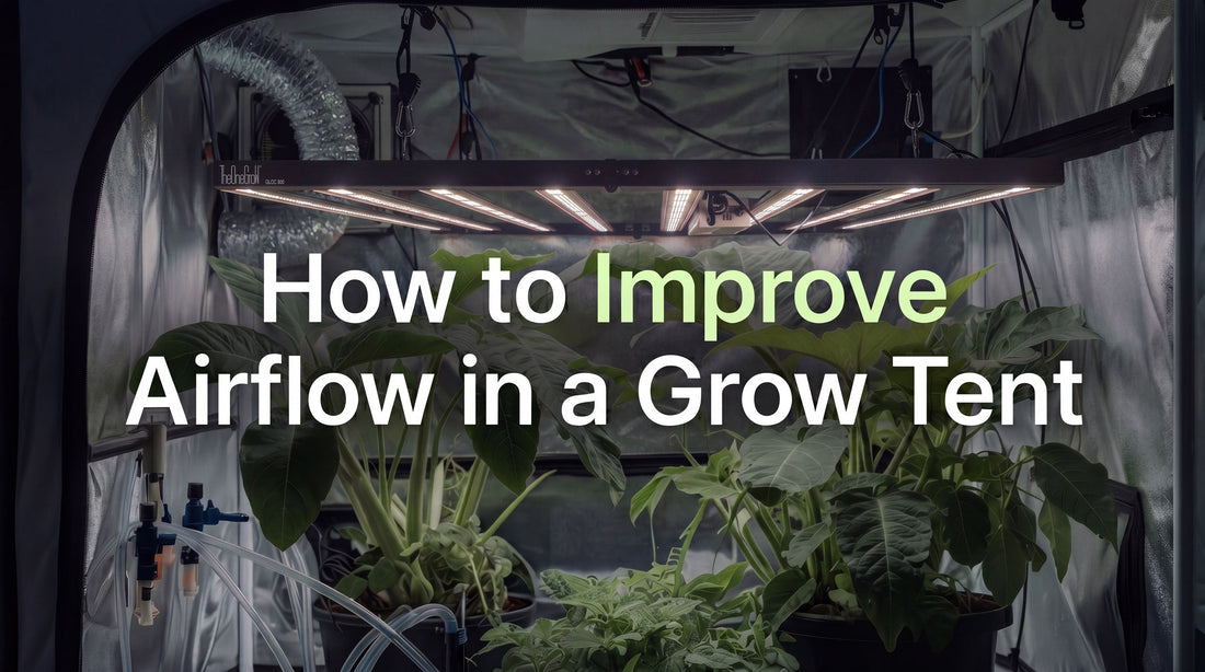 Grow tent airflow setup with exhaust and circulation fans
