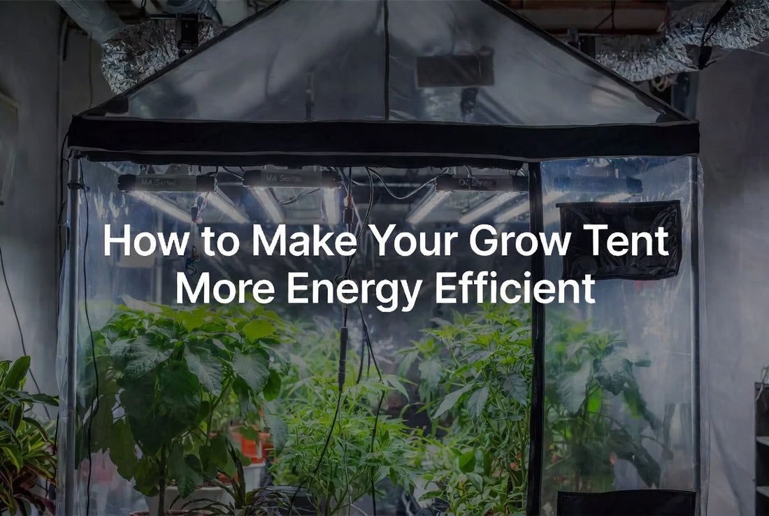Energy-efficient grow tent with LED light and controlled ventilation