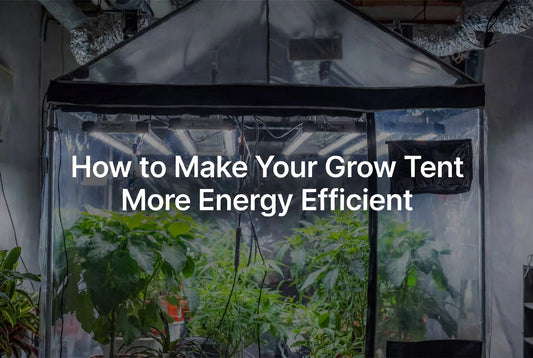 How to Make Your Grow Tent Energy Efficiency