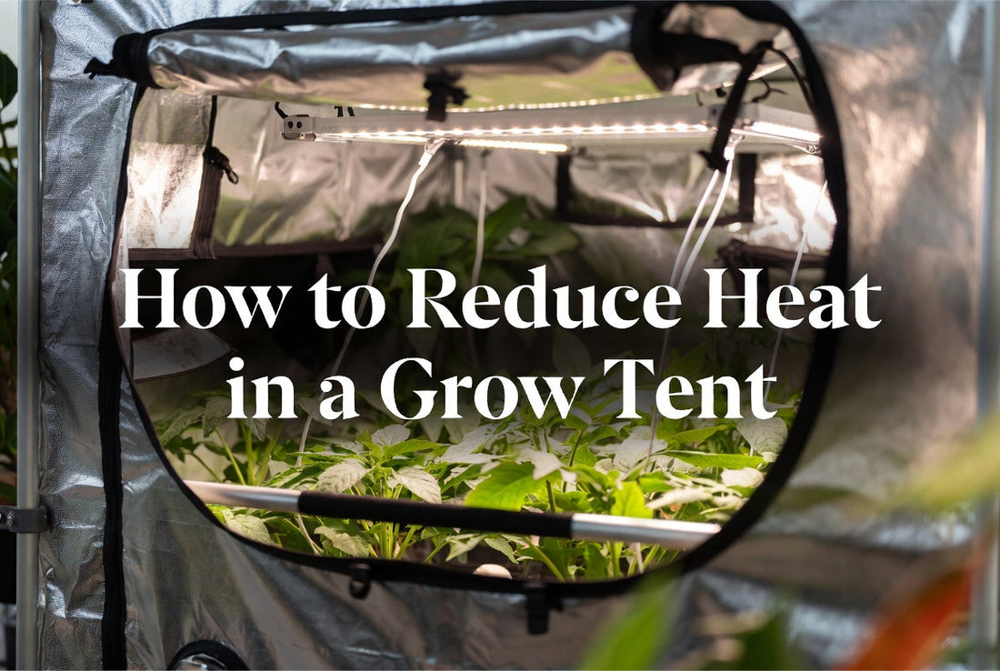 Grow tent cooling plan with ventilation and temperature monitoring