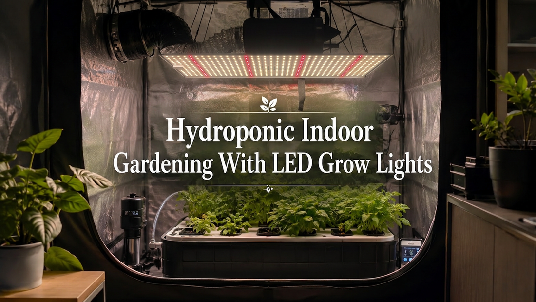 Hydroponic indoor garden under an LED grow light with environmental monitoring