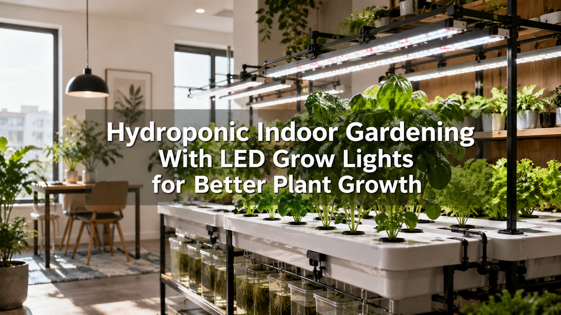Hydroponic Indoor Gardening With LED Grow Lights for Better Plant Growth