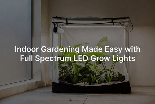Indoor Gardening Made Easy with Full Spectrum LED Grow Lights
