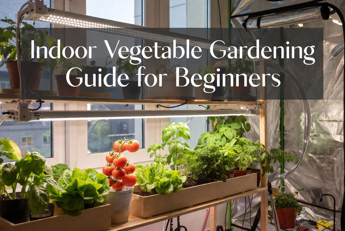 Beginner indoor vegetable garden with herbs and leafy greens under an LED grow light