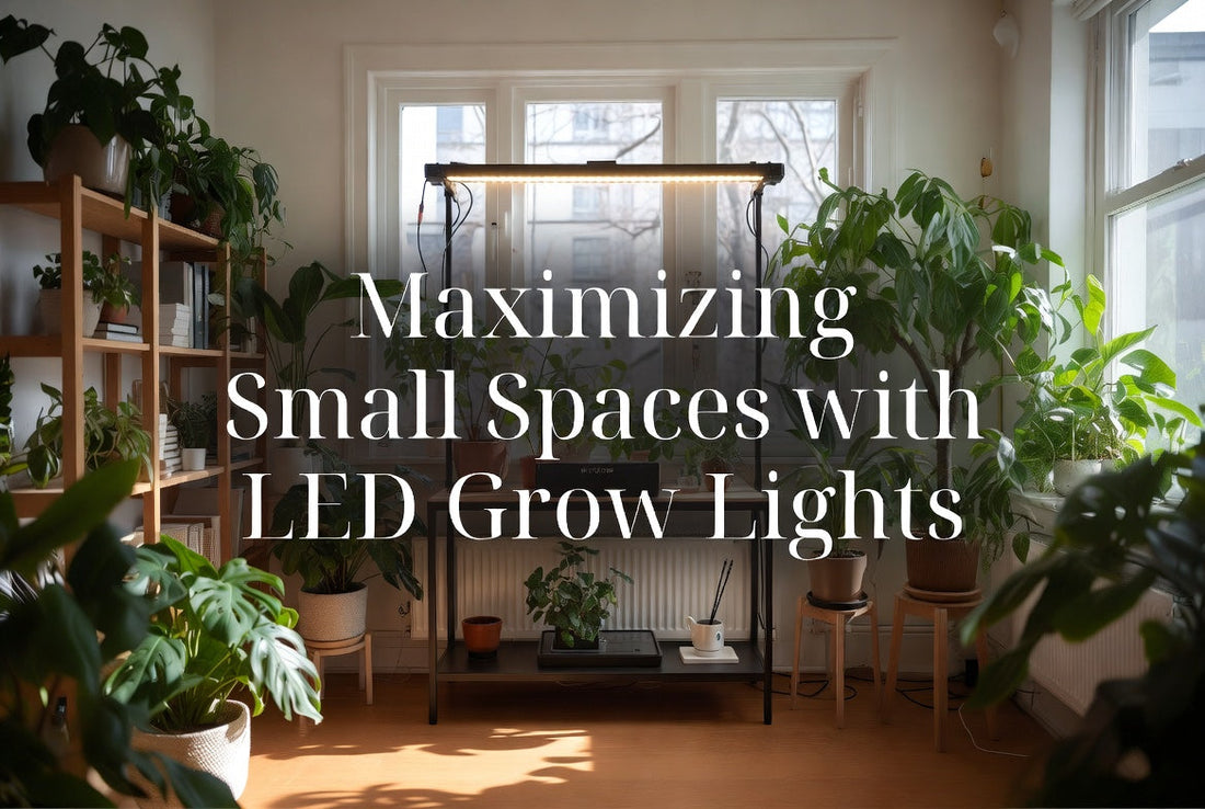Compact indoor garden shelf with evenly spaced plants and an LED grow light