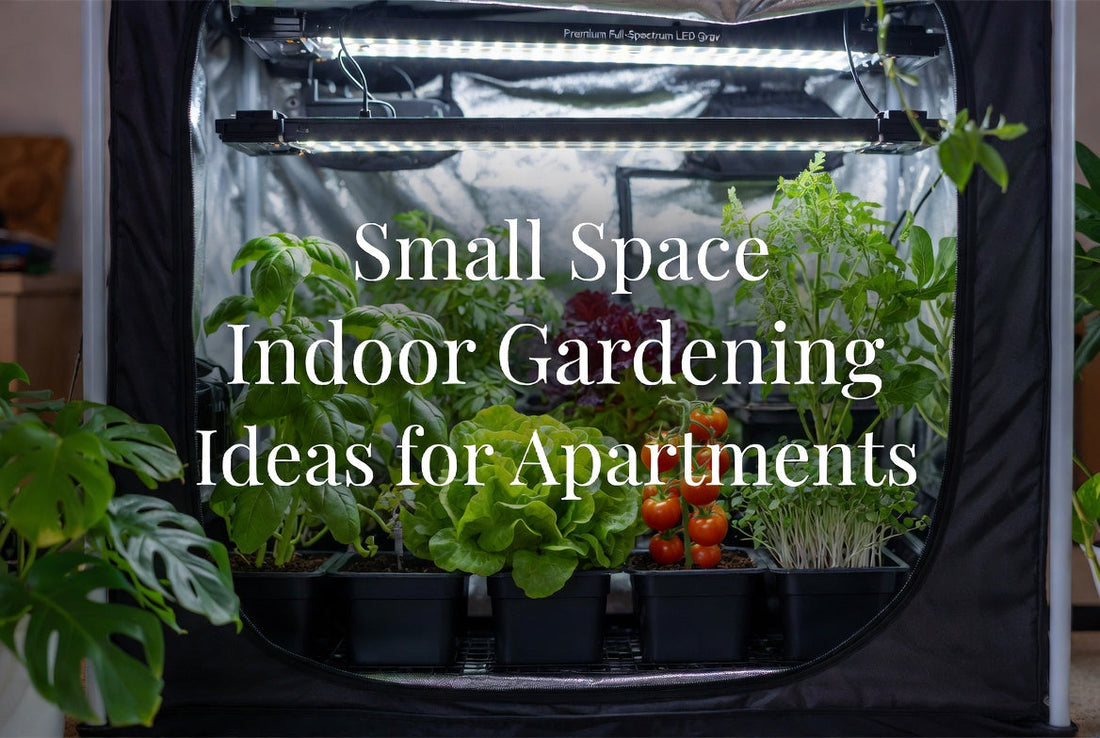 Compact apartment plant shelf with an LED grow light and tidy cable routing
