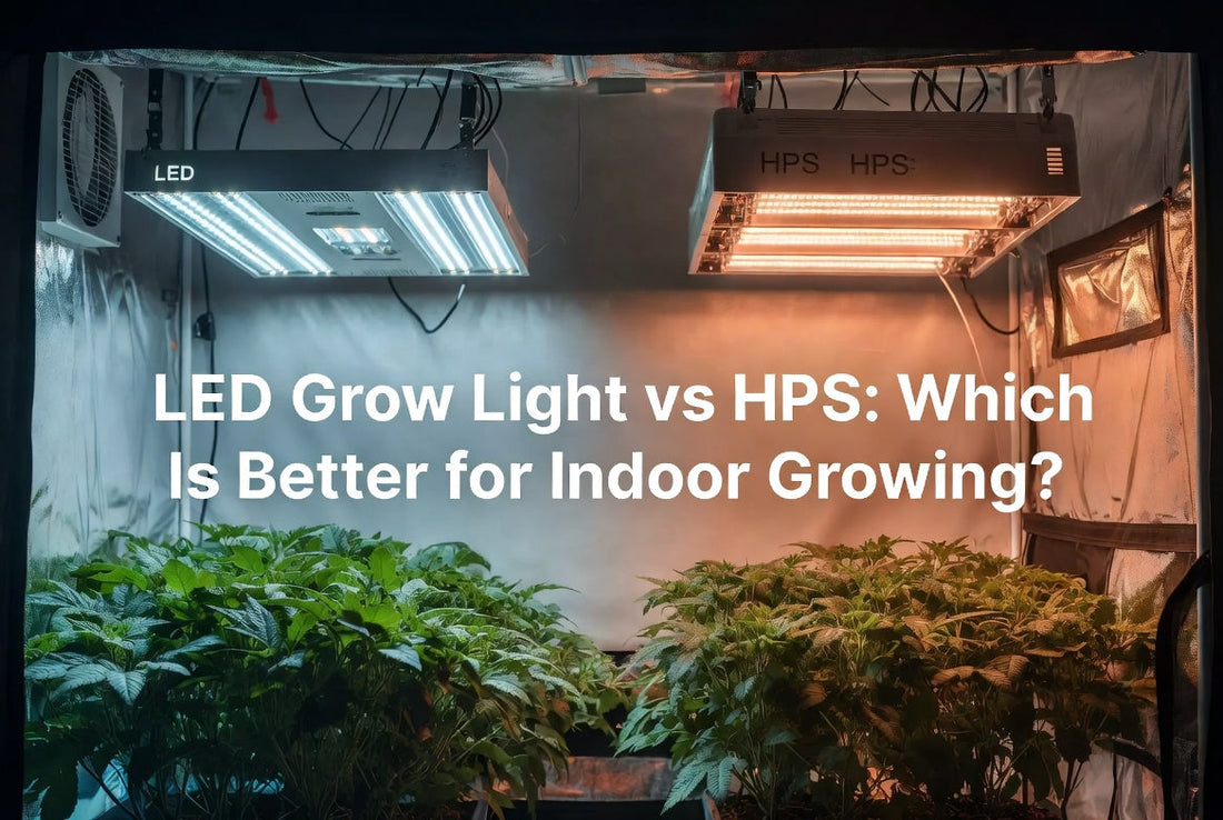 LED Grow Light vs HPS: Which Is Better for Indoor Growing?