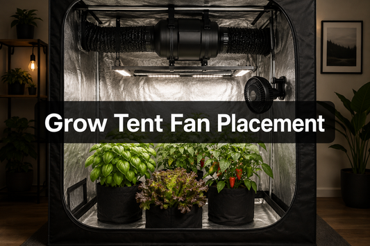Grow tent airflow layout showing lower intake, upper exhaust, and canopy circulation fan positions