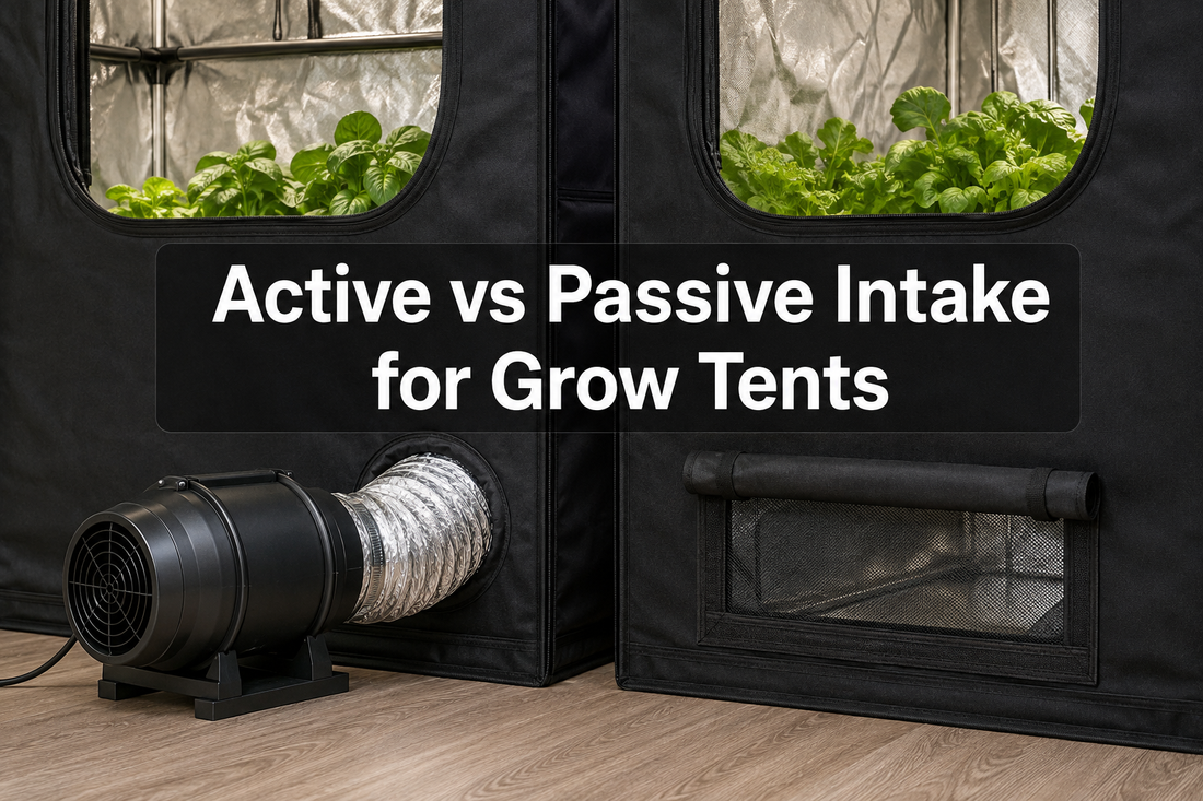 Active intake fan and passive lower vent compared in a grow tent airflow system