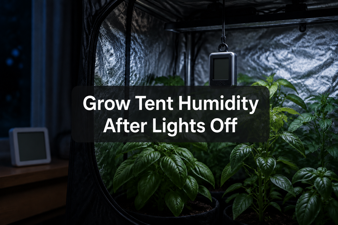 Humidity sensors at plant height inside a grow tent and in the surrounding room after lights off