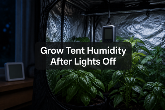 Humidity sensors at plant height inside a grow tent and in the surrounding room after lights off