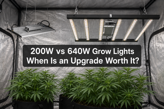 Compact MA200 board and wide six-bar OC640 LED grow light above cannabis plants inside a reflective tent