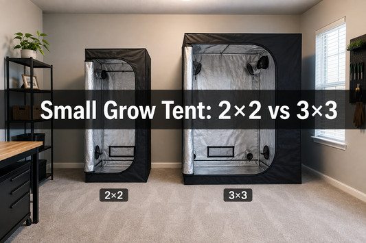 Two unbranded small grow tents labeled 2x2 and 3x3 in a compact room