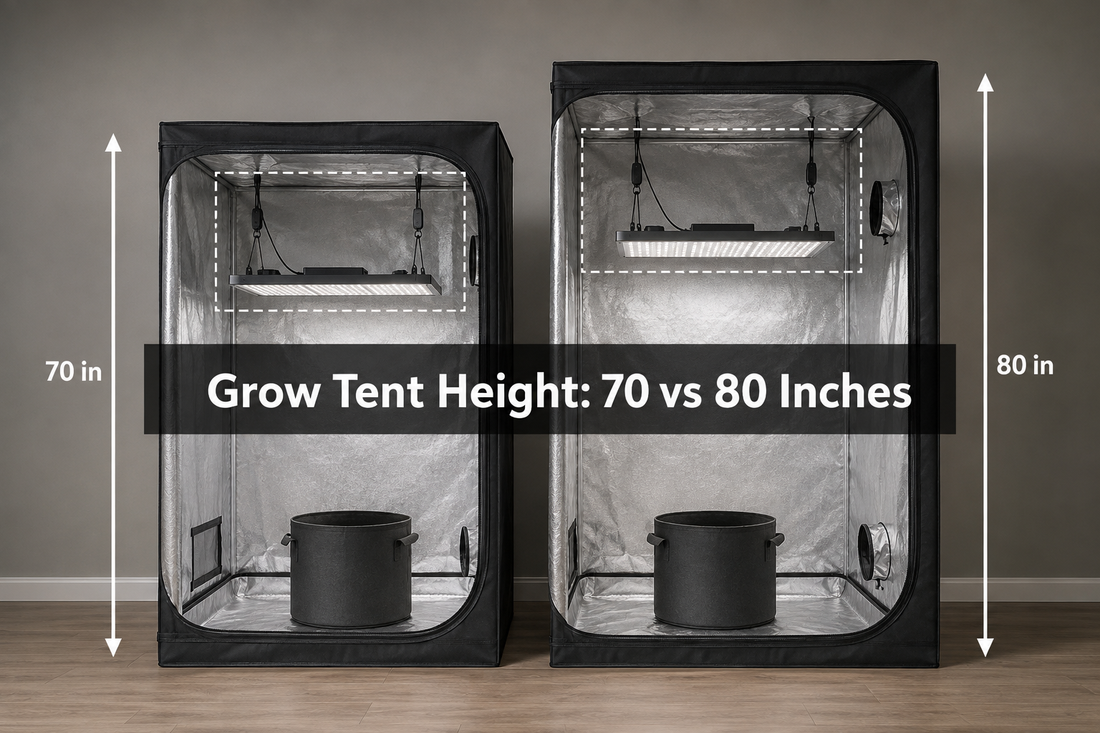 Illustrative 70-inch and 80-inch grow tents with hanging lights and empty pots