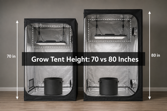 Illustrative 70-inch and 80-inch grow tents with hanging lights and empty pots