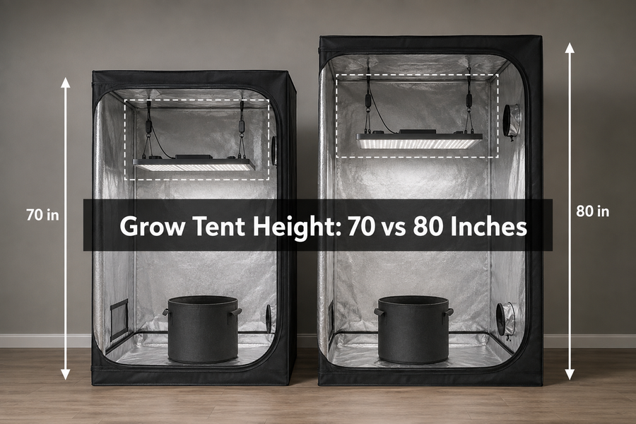 Illustrative 70-inch and 80-inch grow tents with hanging lights and empty pots