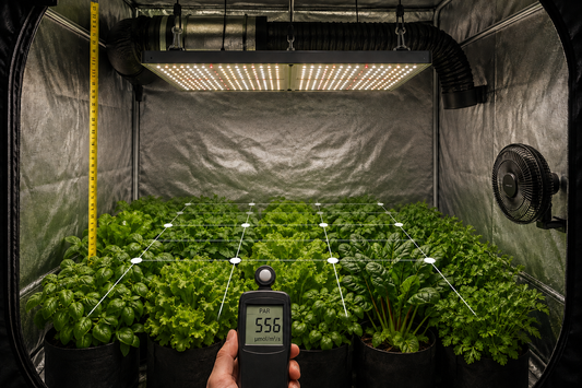 Best grow light for a 3x3 tent showing canopy coverage, hanging height, and PPFD measurement points