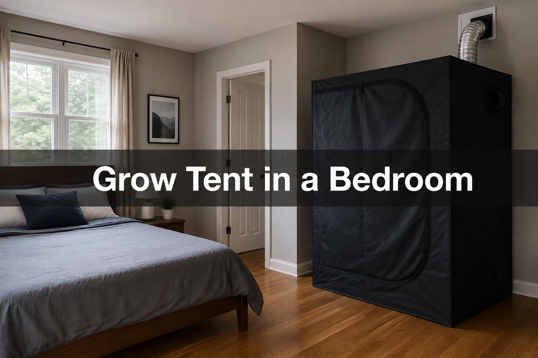 Closed grow tent beside a bed with a clear walkway and overhead exhaust duct