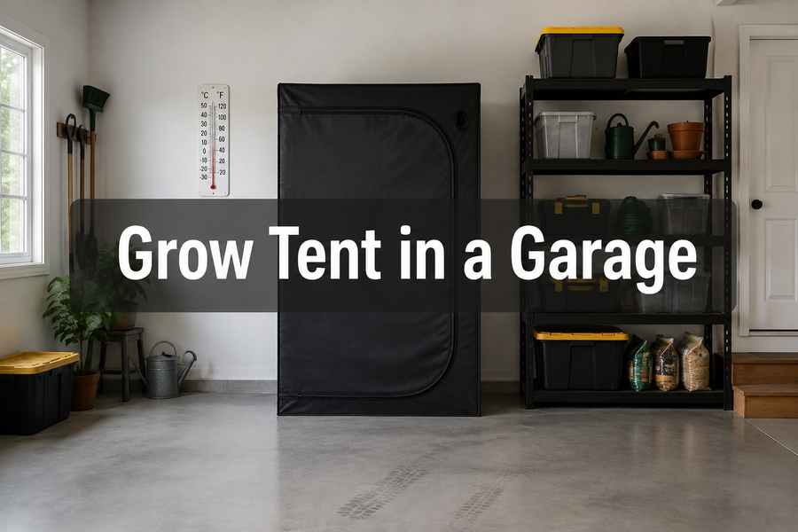 Closed black grow tent in an organized garage with a wall thermometer