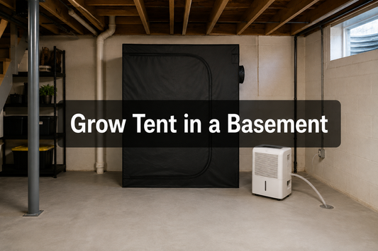 Closed grow tent and dehumidifier in a dry basement