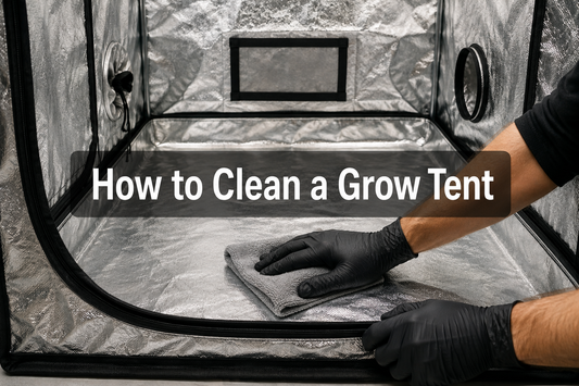 Gloved hands wiping an empty grow tent with a microfiber cloth