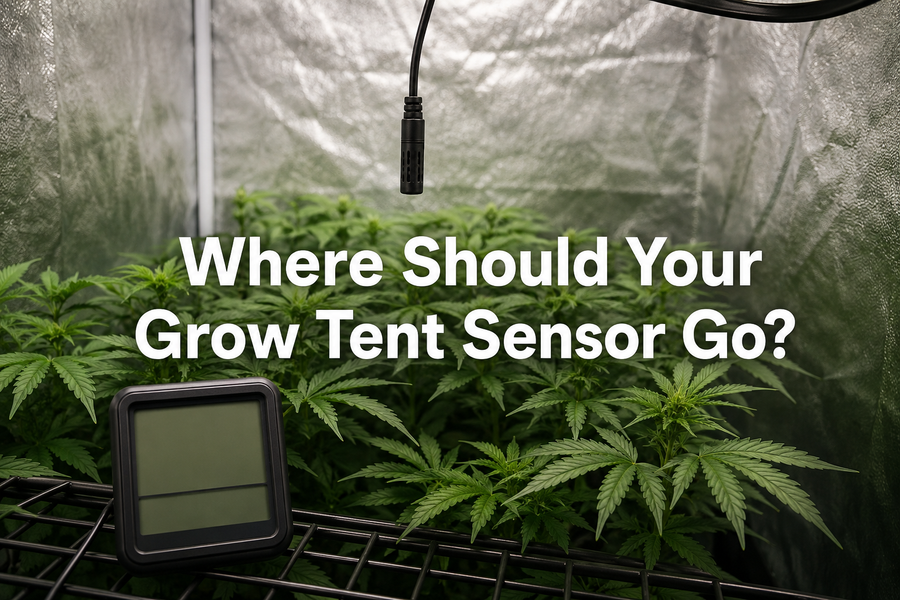 Humidity probe suspended above plant canopy inside a reflective grow tent