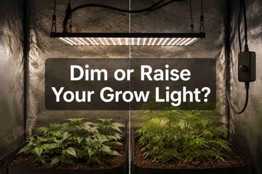 Illustrative LED grow light with dimmer and hanging-height adjustment