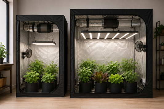 3x3 and 4x4 grow tents side by side showing differences in floor space, lighting, airflow, and plant capacity