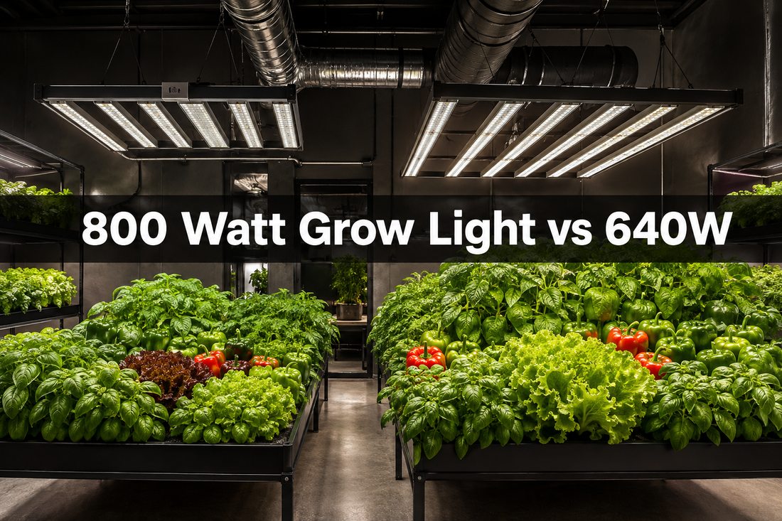 800 watt grow light and 640W LED grow light compared over different indoor vegetable canopy sizes