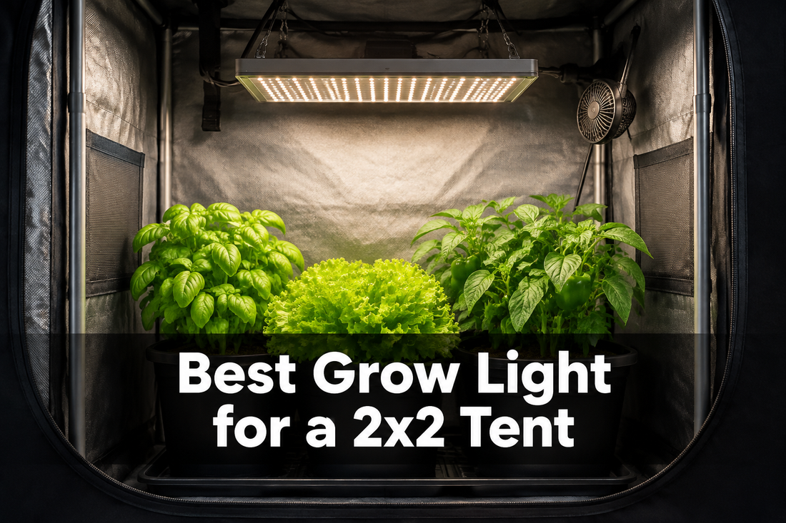 Compact LED grow light covering basil, lettuce, and pepper plants inside a 2x2 grow tent